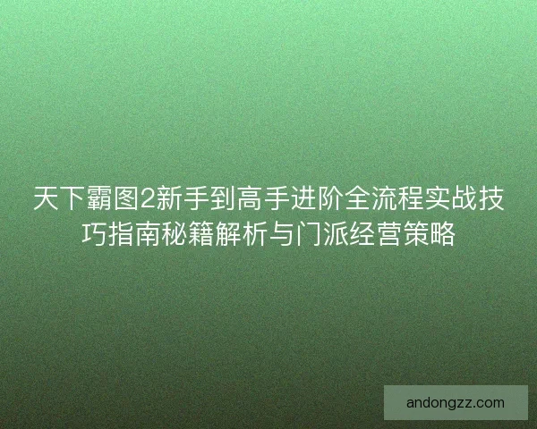 天下霸图2新手到高手进阶全流程实战技巧指南秘籍解析与门派经营策略